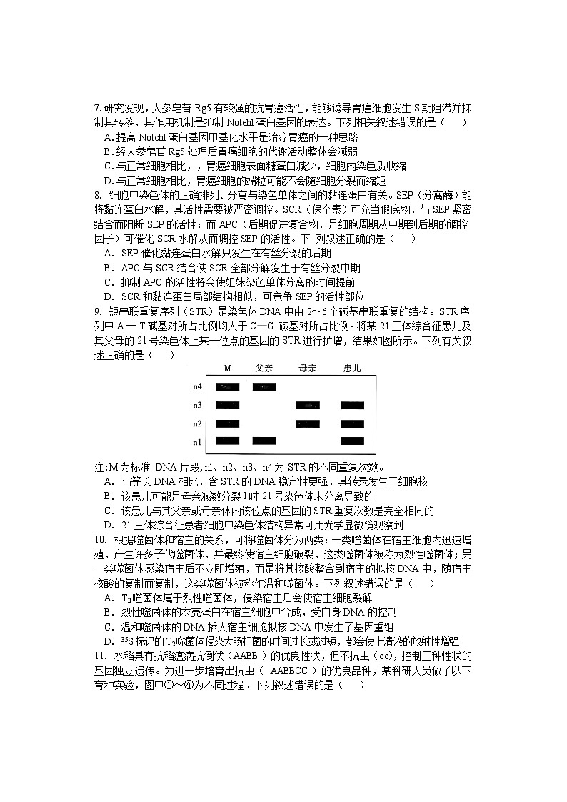 湖南省邵阳市武冈市2024-2025学年高三上学期期中考试生物试题 含答案第3页