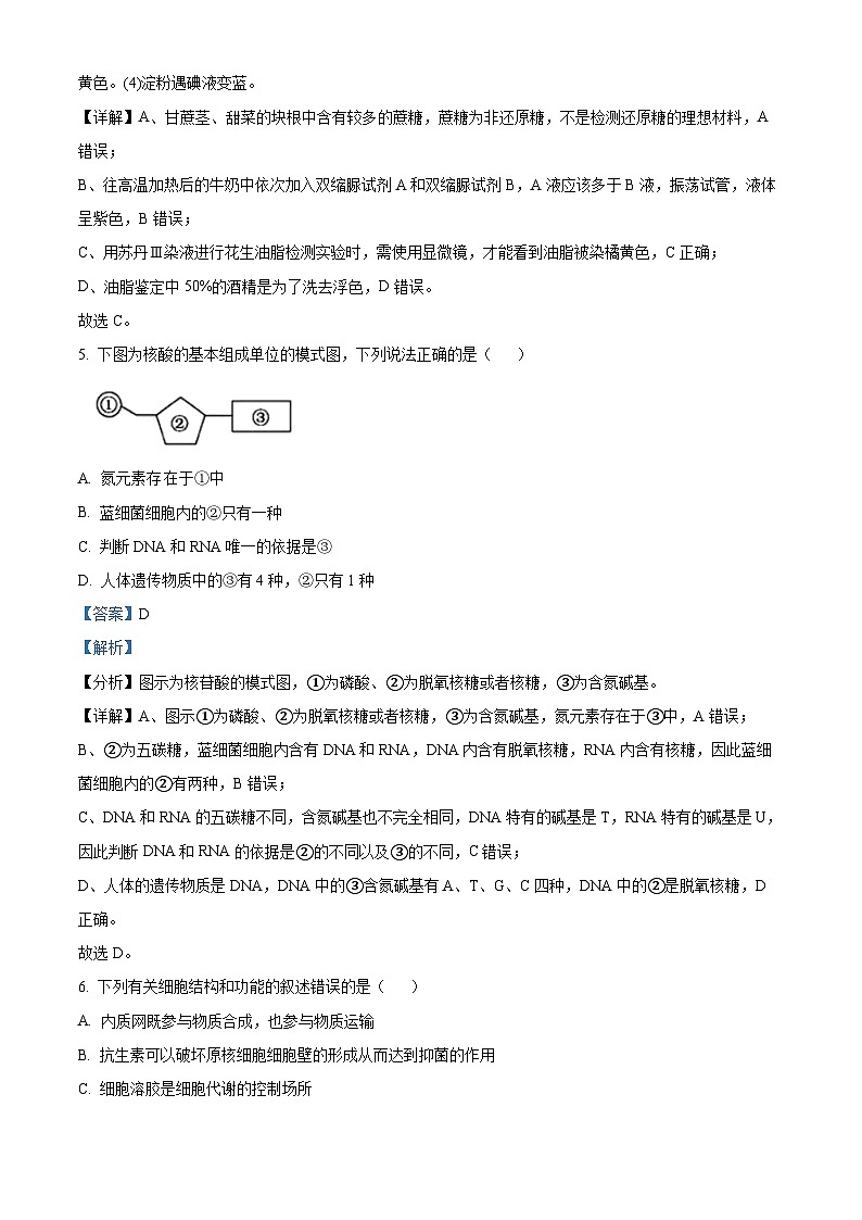 浙江省台州市山海协作体2024-2025学年高一上学期期中联考生物试题 含解析03