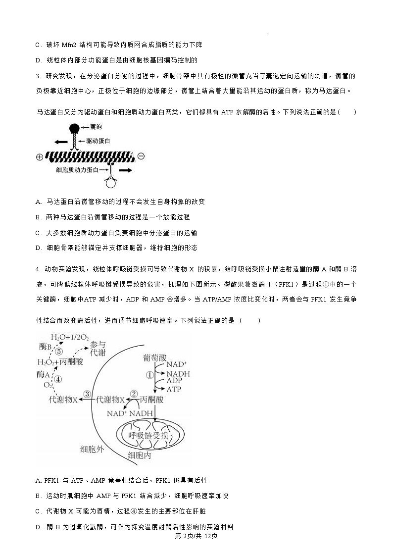 【山东卷】.山东省青岛市四区县（黄岛）2024-2025学年高三上学期期中学业水平检测考试（11.6-11.8）生物试卷（原卷版）第2页