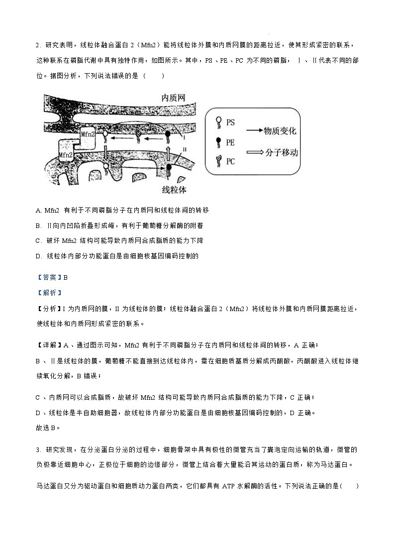 【山东卷】.山东省青岛市四区县（黄岛）2024-2025学年高三上学期期中学业水平检测考试（11.6-11.8）生物试卷（解析版）第3页