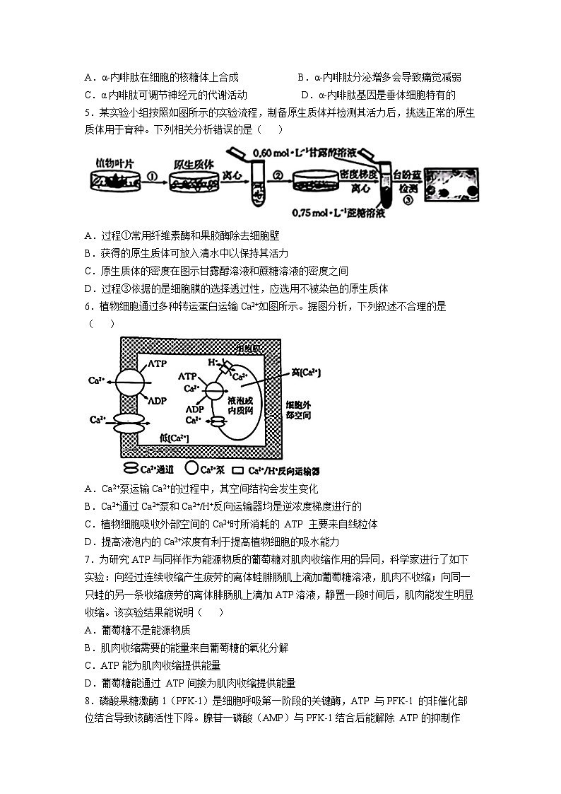 【西北卷】青海省金太阳2024-2025学年高三上学期11月联考（11.21-11.22）生物试卷+答案第2页