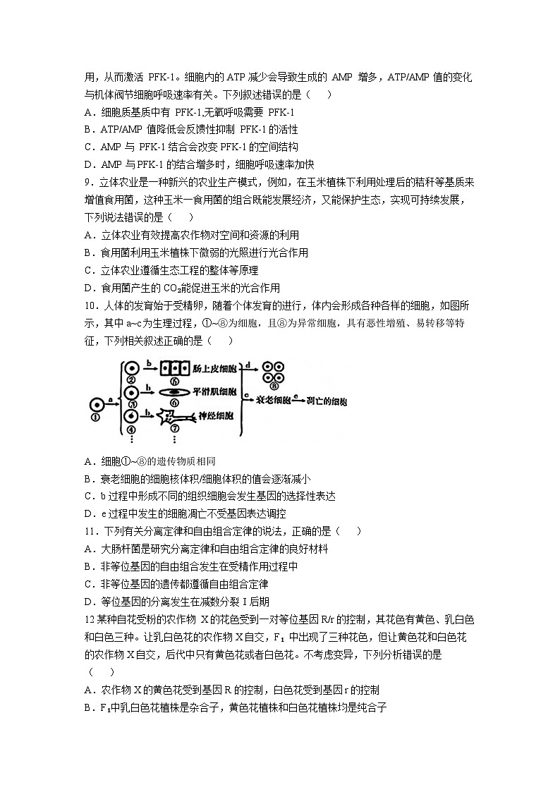 【西北卷】青海省金太阳2024-2025学年高三上学期11月联考（11.21-11.22）生物试卷+答案第3页