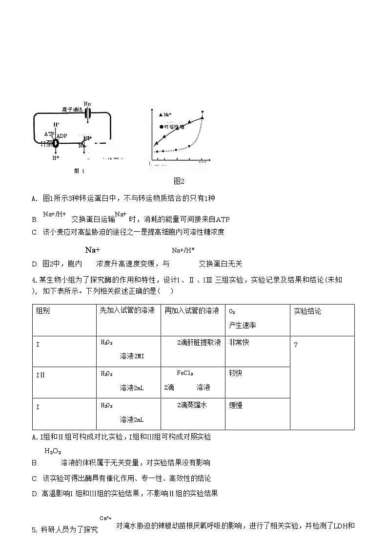 2025江西省稳派上进联考高三上学期11月阶段检测考试生物试题含解析第2页