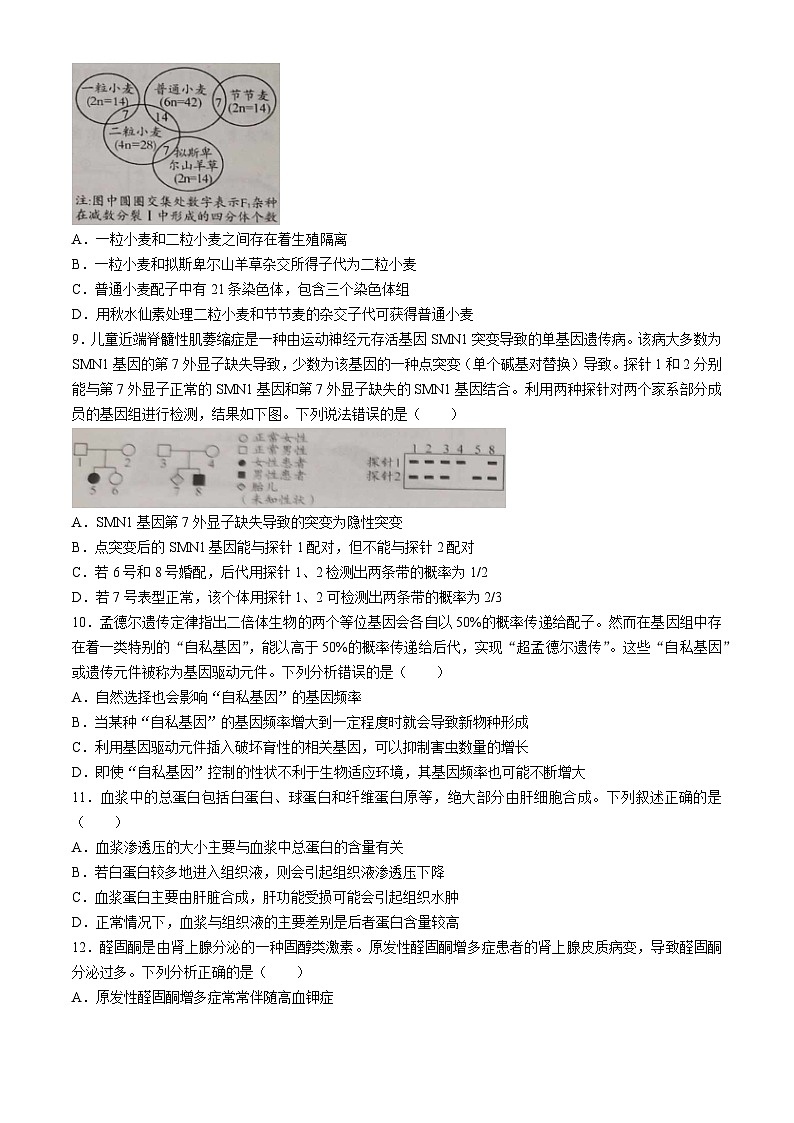 山东省日照市2025届高三上学期11月期中校际联合考试生物第3页
