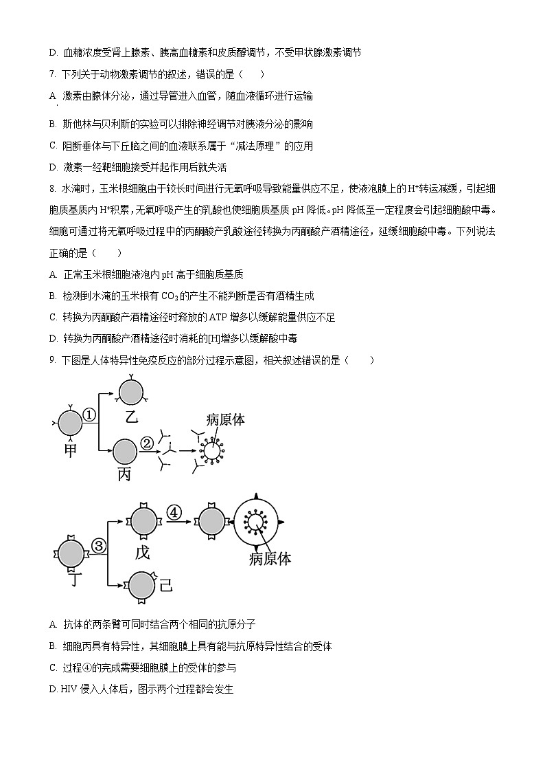 湖南省岳阳市临湘市2024-2025学年高二上学期11月期中生物试题无答案第3页