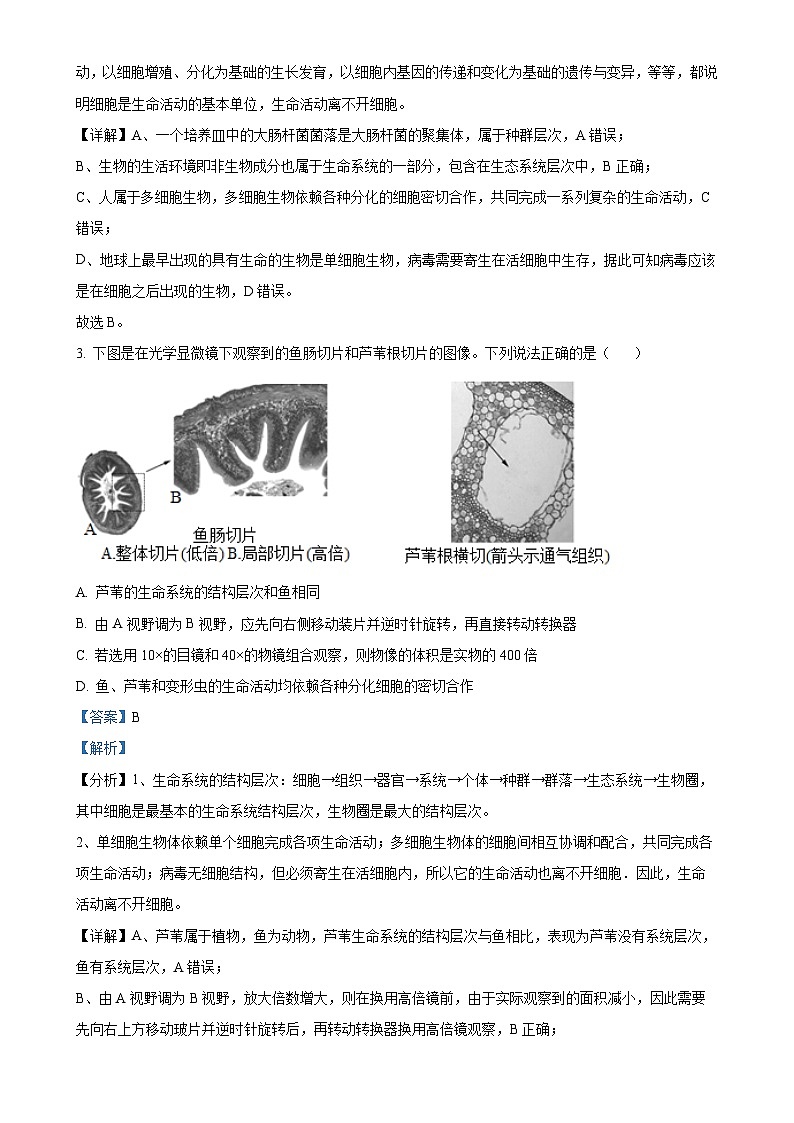 福建省福州市福9联盟校2024-2025学年高一上学期11月期中生物试题（解析版）-A4第2页