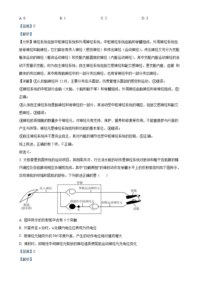 福建省厦门市双十中学2024-2025学年高二上学期期中生物试卷（解析版）-A4第2页