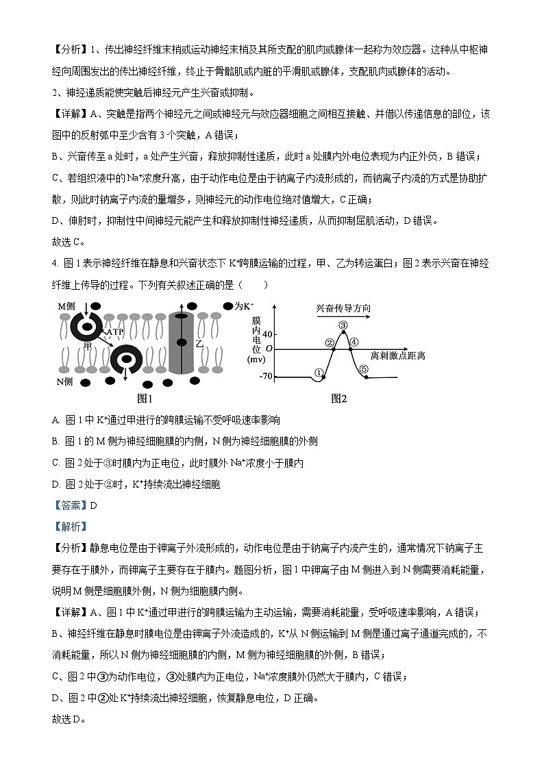 福建省厦门市双十中学2024-2025学年高二上学期期中生物试卷（解析版）-A4第3页