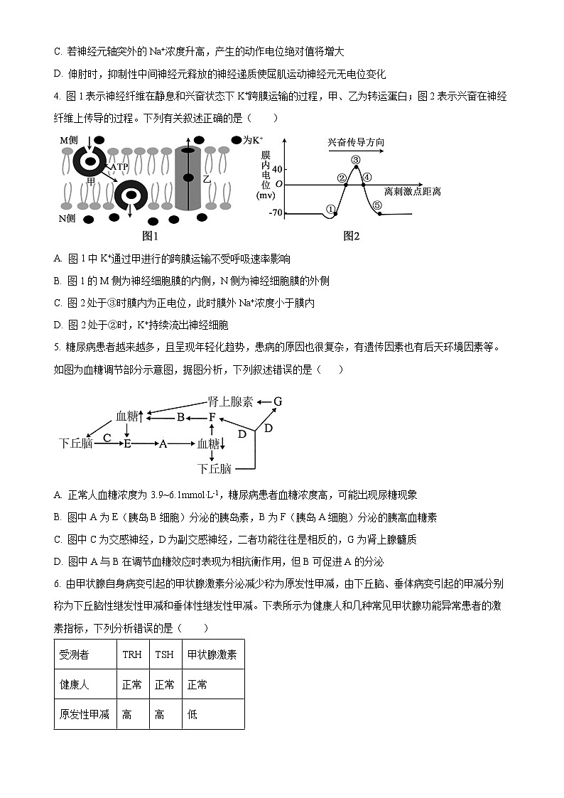 福建省厦门市双十中学2024-2025学年高二上学期期中生物试卷（原卷版）-A4第2页