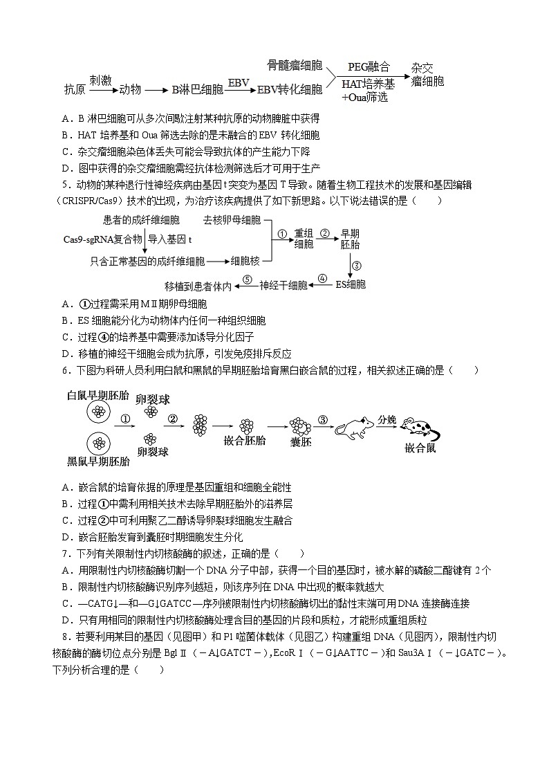 江苏省扬州市扬州大学附属中学东部分校2023-2024学年高二下学期期中考试生物试卷第2页