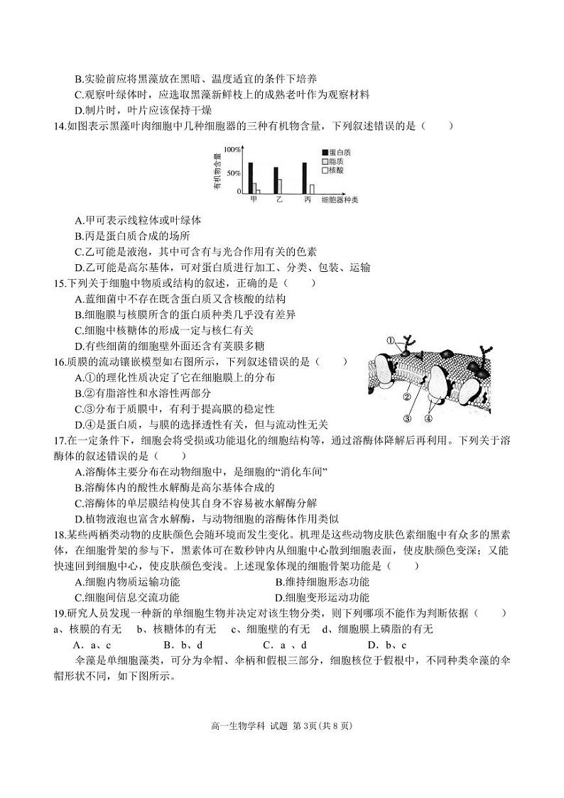 浙江省五湖联盟2024—2025学年高一上学期期中考试生物试题03
