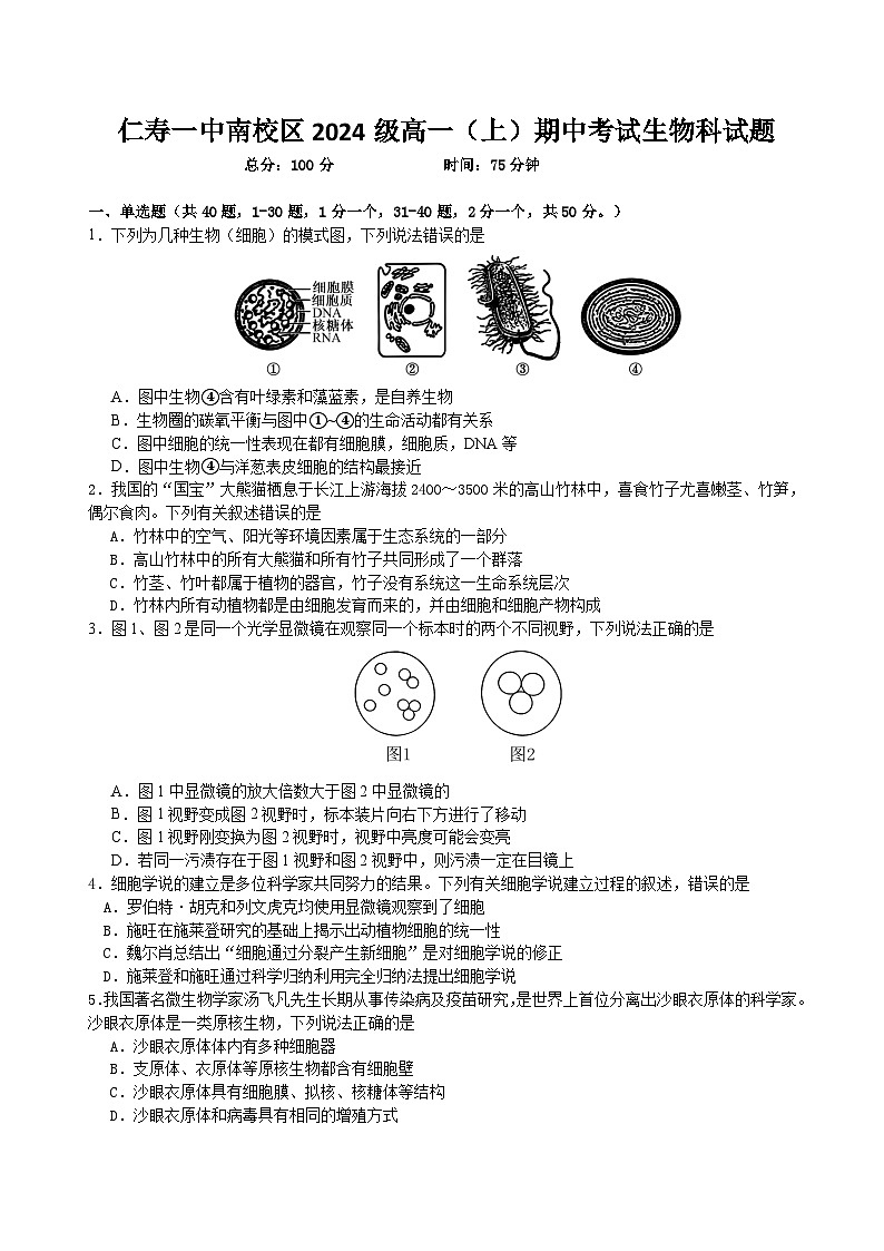 四川省仁寿第一中学校南校区2024-2025学年高一上学期11月期中生物试题01