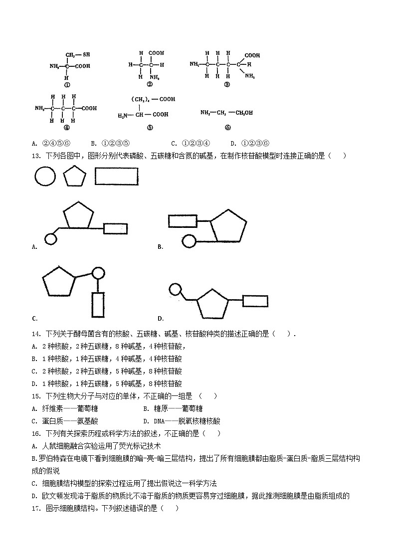 天津市滨海新区北京师范大学天津生态城附属学校2024-2025学年高一上学期11月期中生物试题第3页