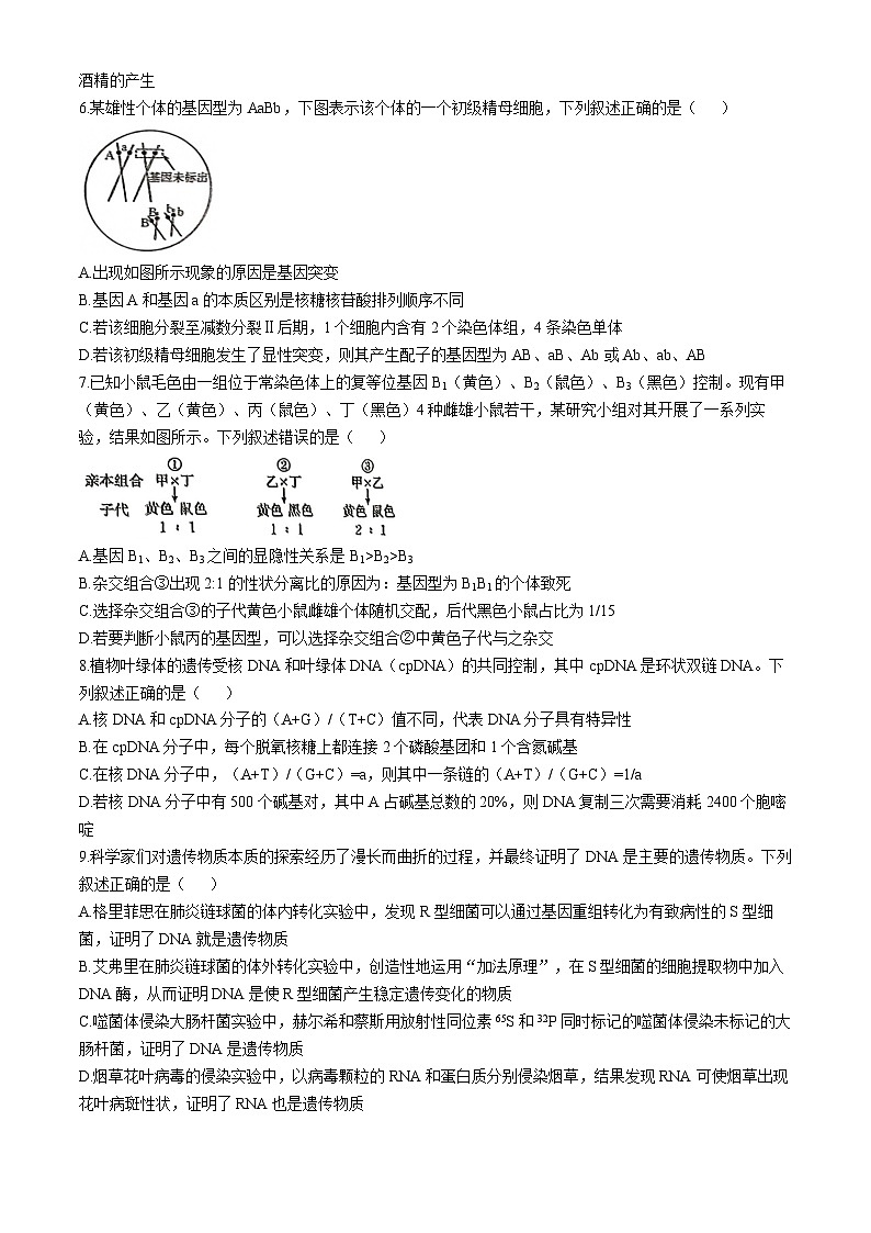河北省秦皇岛市部分学校2024-2025学年高三上学期11月期中生物试题第2页
