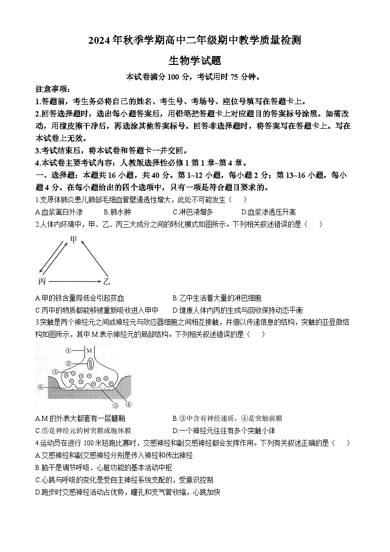 广西金太阳联考2024-2025学年高二上学期期中教学质量检测生物试题第1页
