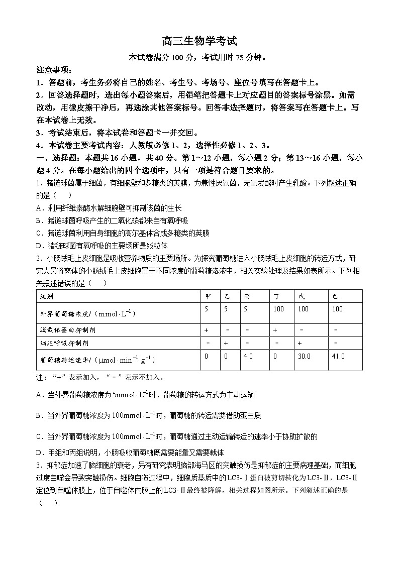广西部分学校联考2024-2025学年高三上学期11月月考生物试题第1页