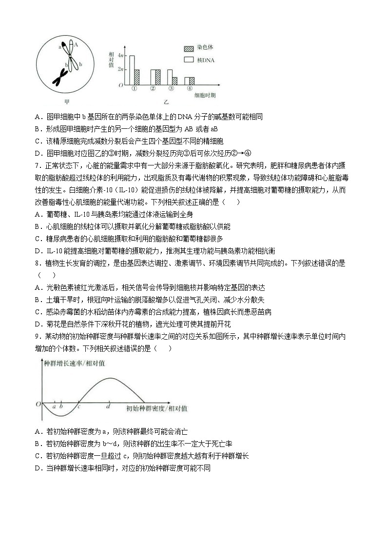 广西部分学校联考2024-2025学年高三上学期11月月考生物试题第3页