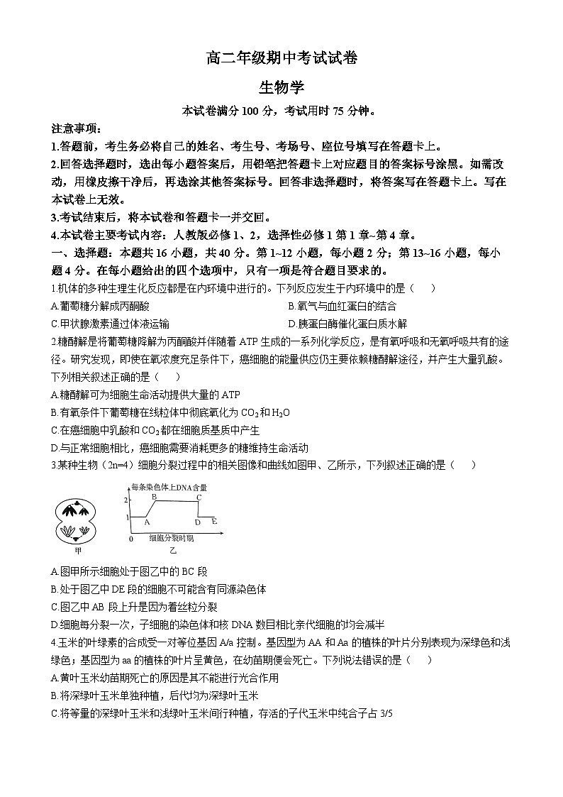 广东省部分重点高中2024-2025学年高二上学期期中考试生物试题第1页