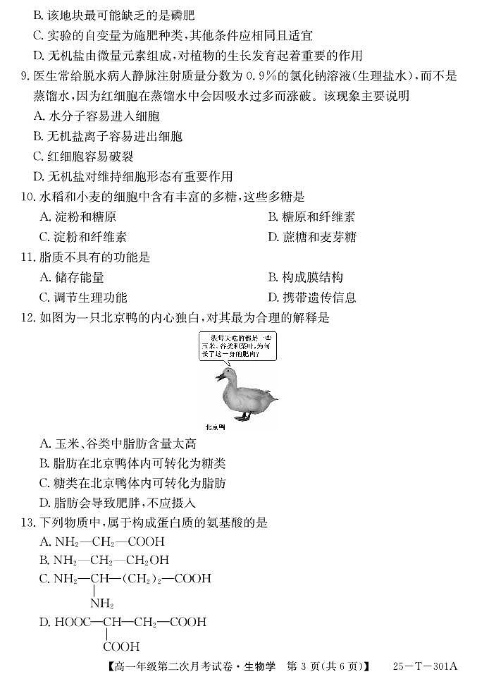 安徽省亳州市涡阳县2024-2025学年高一上学期11月第二次月考生物试题第3页