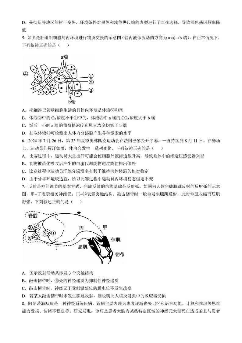 贵州省九师联盟2024-2025学年高二上学期11月联考生物试卷（PDF版附解析）第2页