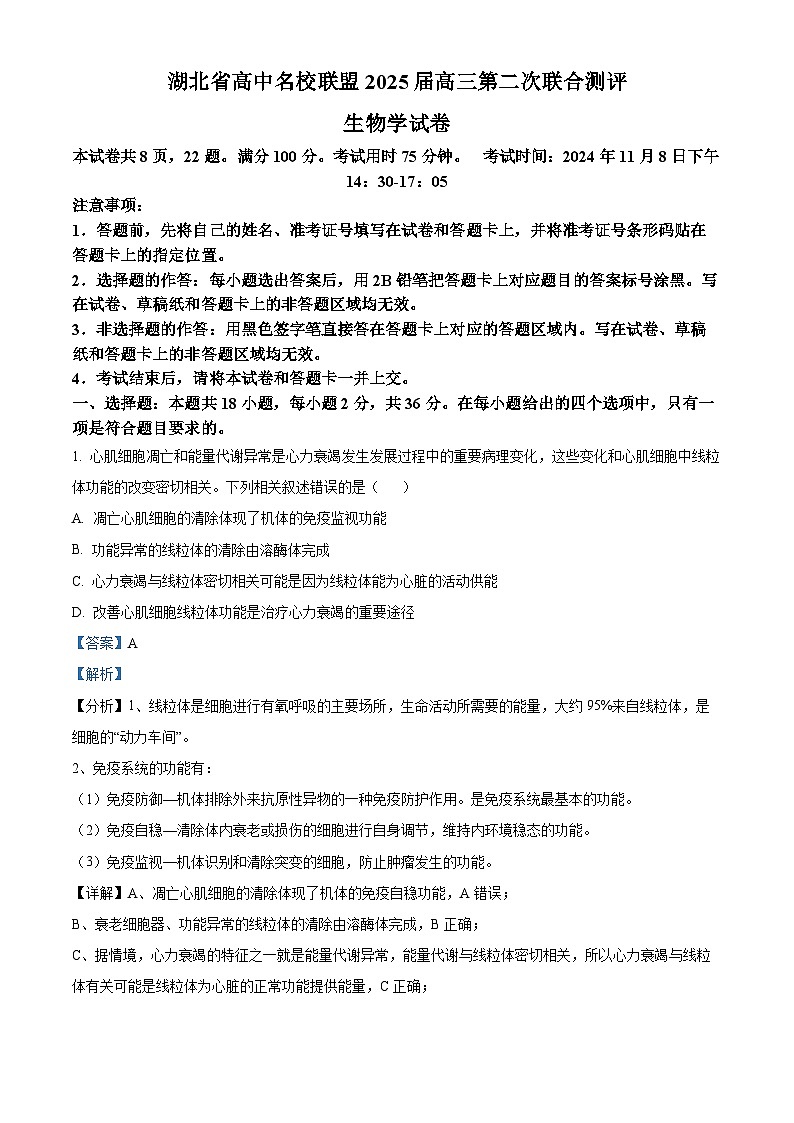 湖北省高中名校联盟2024-2025学年高三上学期第二次联合测评（11月月考）生物试题 Word版含解析第1页