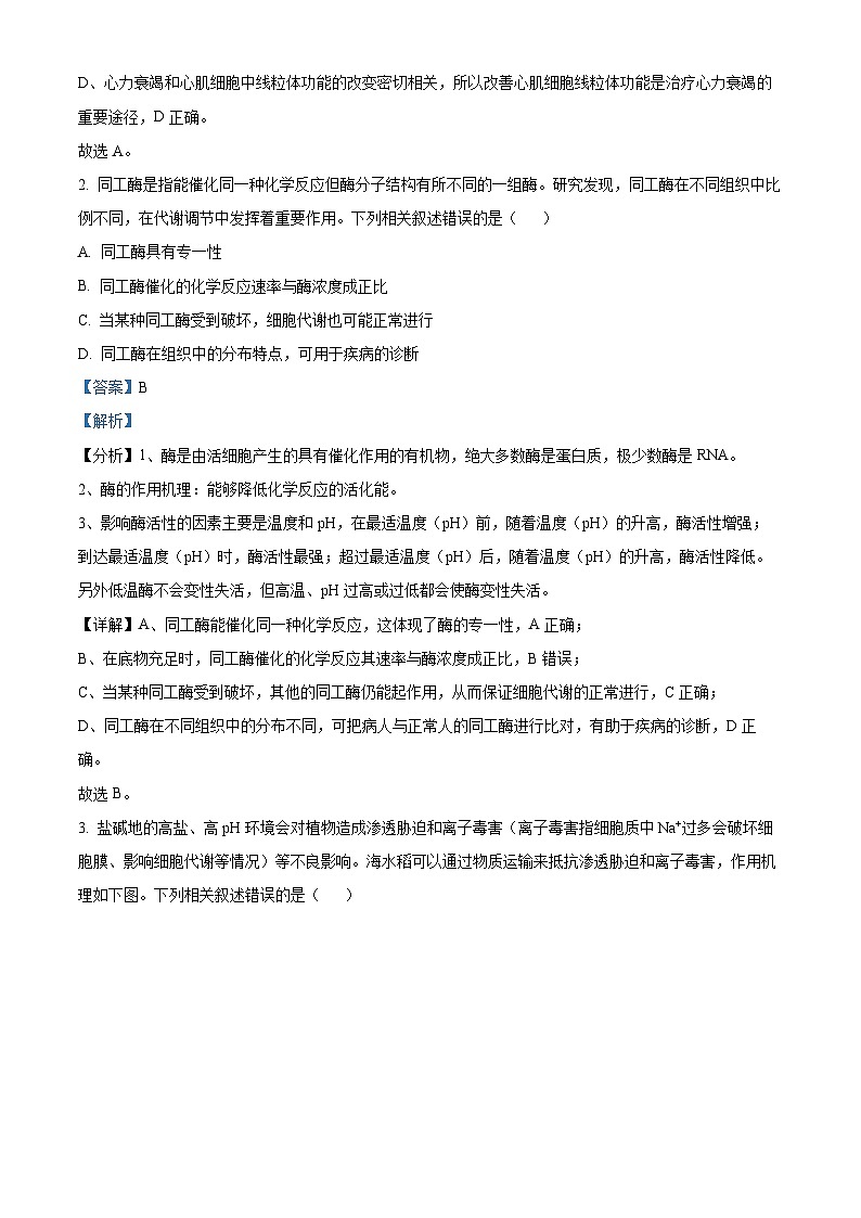 湖北省高中名校联盟2024-2025学年高三上学期第二次联合测评（11月月考）生物试题 Word版含解析第2页