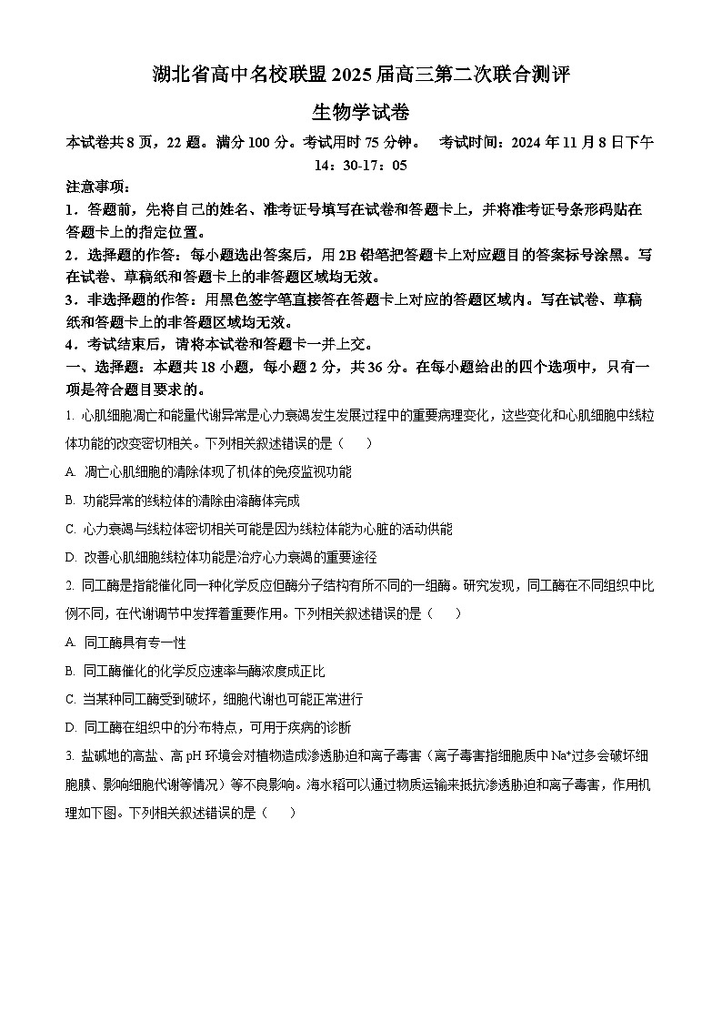 湖北省高中名校联盟2024-2025学年高三上学期第二次联合测评（11月月考）生物试题 Word版无答案第1页