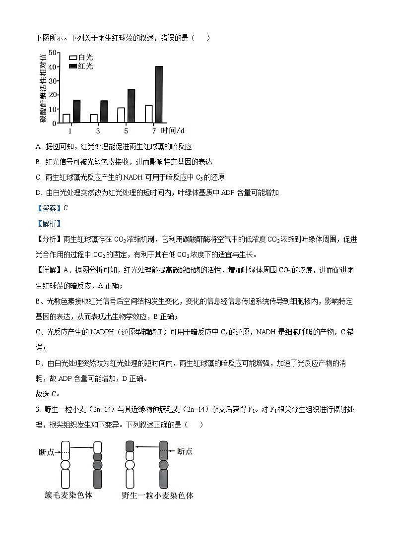 湖南省部分市县2024-2025学年高二上学期11月期中联考生物试题 Word版含解析第2页