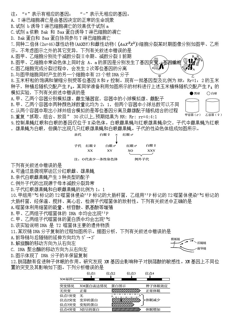 湖南省三湘名校教育联盟2024-2025学年高三上学期11月月考生物试卷（Word版附答案）第2页