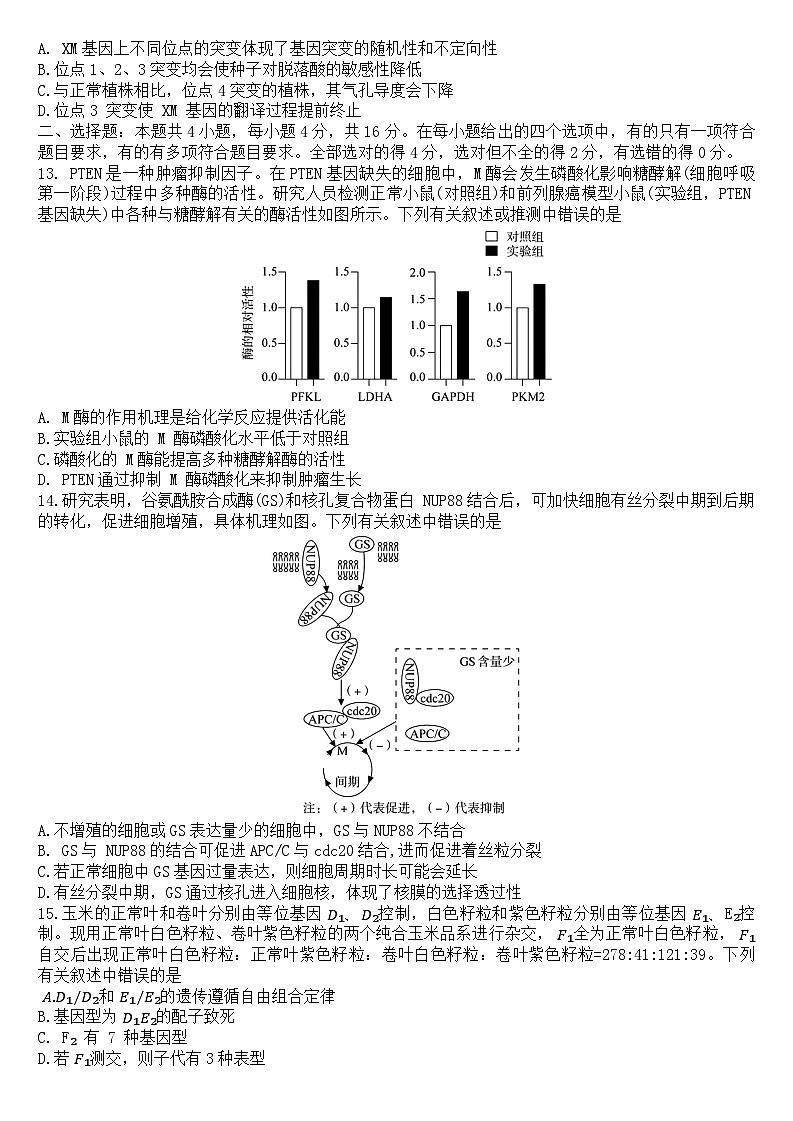 湖南省三湘名校教育联盟2024-2025学年高三上学期11月月考生物试卷（Word版附答案）第3页