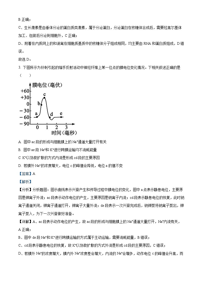 湖南省岳阳市临湘市2024-2025学年高二上学期11月期中生物试题  Word版含解析第2页