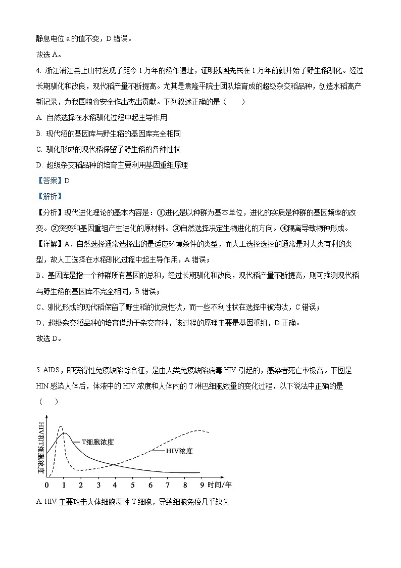 湖南省岳阳市临湘市2024-2025学年高二上学期11月期中生物试题  Word版含解析第3页
