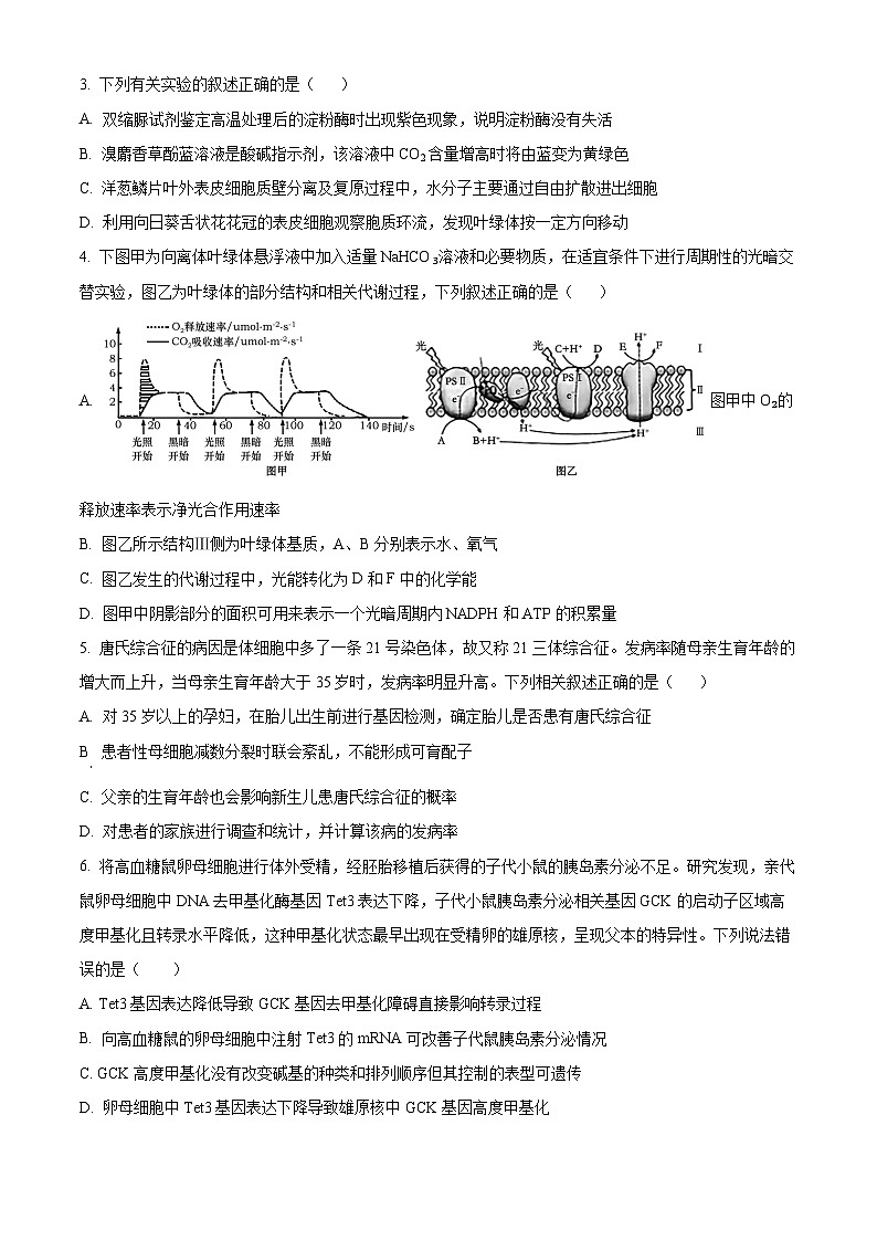 江苏省苏州市2024-2025学年高三上学期11月期中生物试题  Word版无答案第2页
