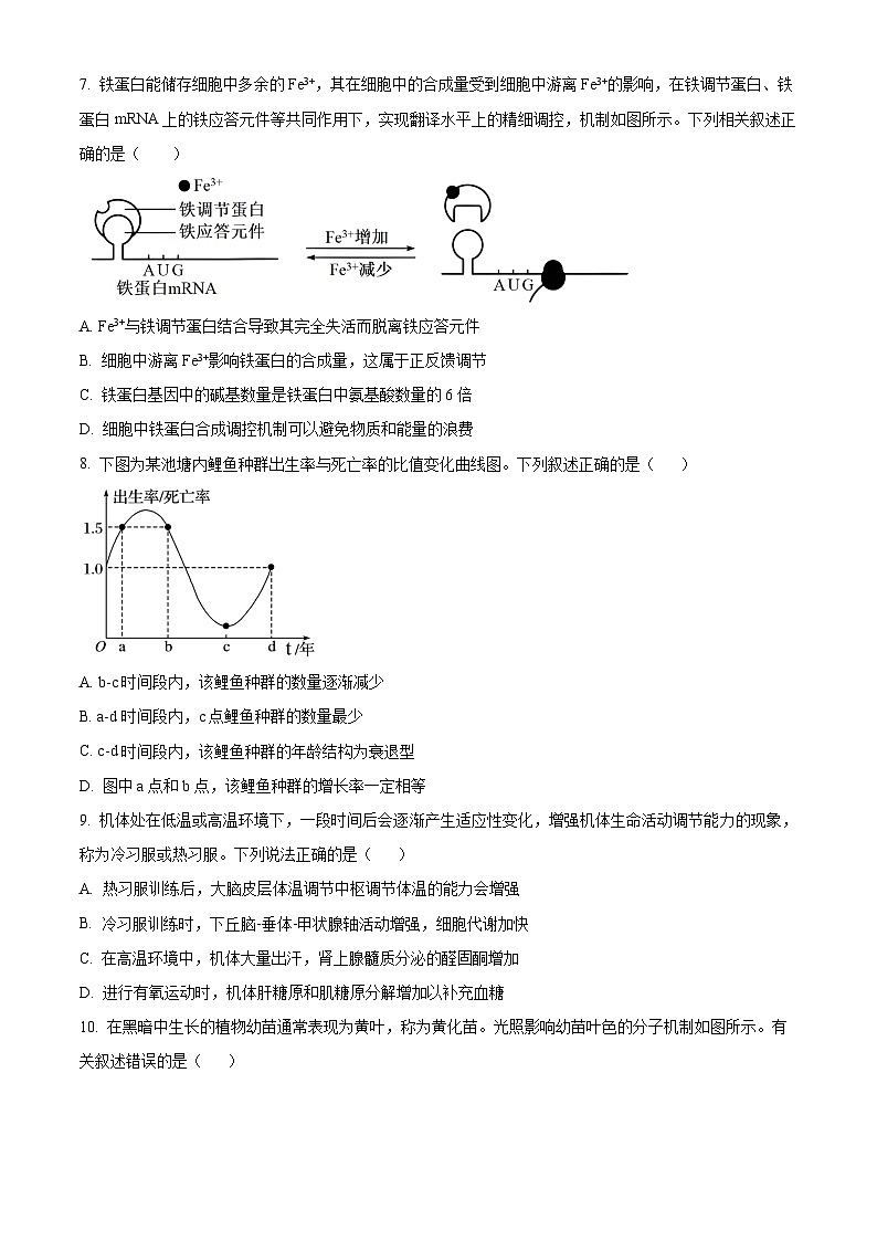 江苏省苏州市2024-2025学年高三上学期11月期中生物试题  Word版无答案第3页