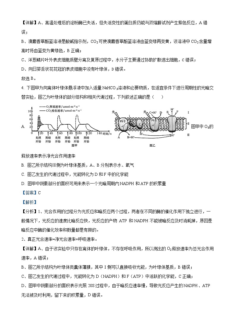 江苏省苏州市2024-2025学年高三上学期11月期中生物试题  Word版含解析第3页