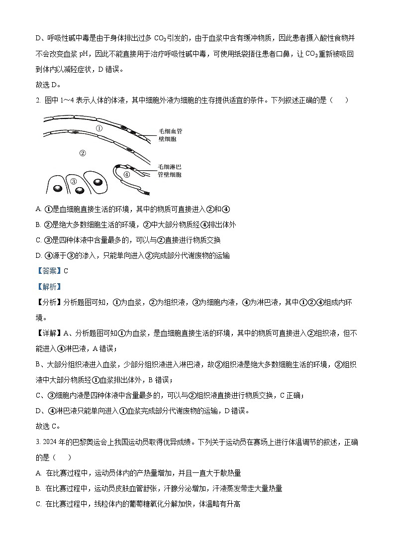 河北省邢台市质检联盟2024-2025学年高二上学期11月期中考试生物试卷（Word版附解析）02