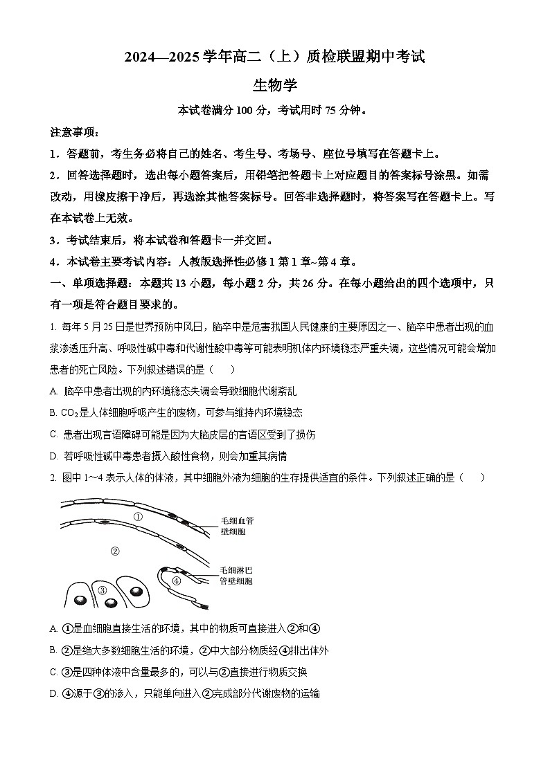 河北省邢台市质检联盟2024-2025学年高二上学期11月期中考试生物试卷（Word版附解析）01