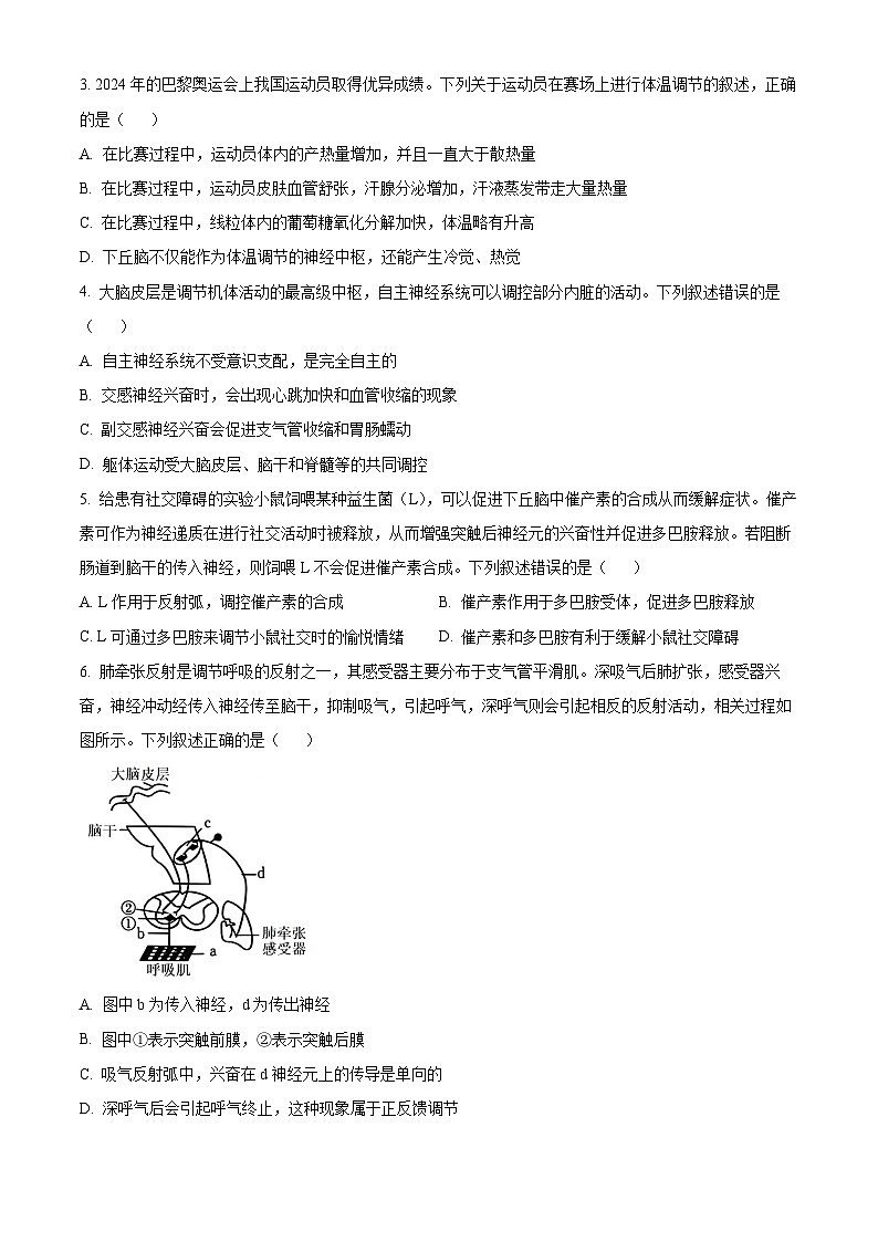 河北省邢台市质检联盟2024-2025学年高二上学期11月期中考试生物试卷（Word版附解析）02
