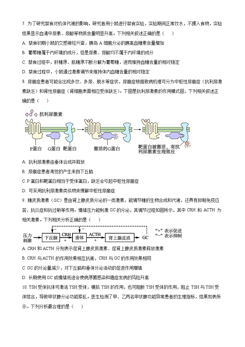 河北省邢台市质检联盟2024-2025学年高二上学期11月期中考试生物试卷（Word版附解析）03