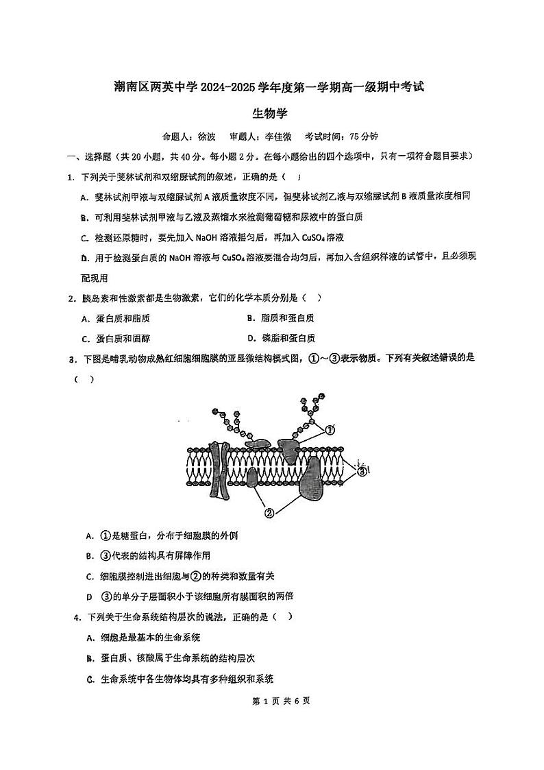 广东省汕头市潮南区两英中学2024-2025学年高一上学期期中考试生物试题第1页