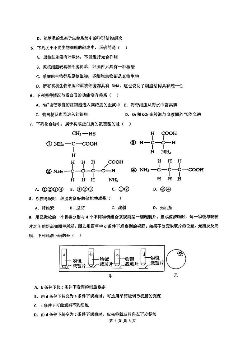 广东省汕头市潮南区两英中学2024-2025学年高一上学期期中考试生物试题第2页