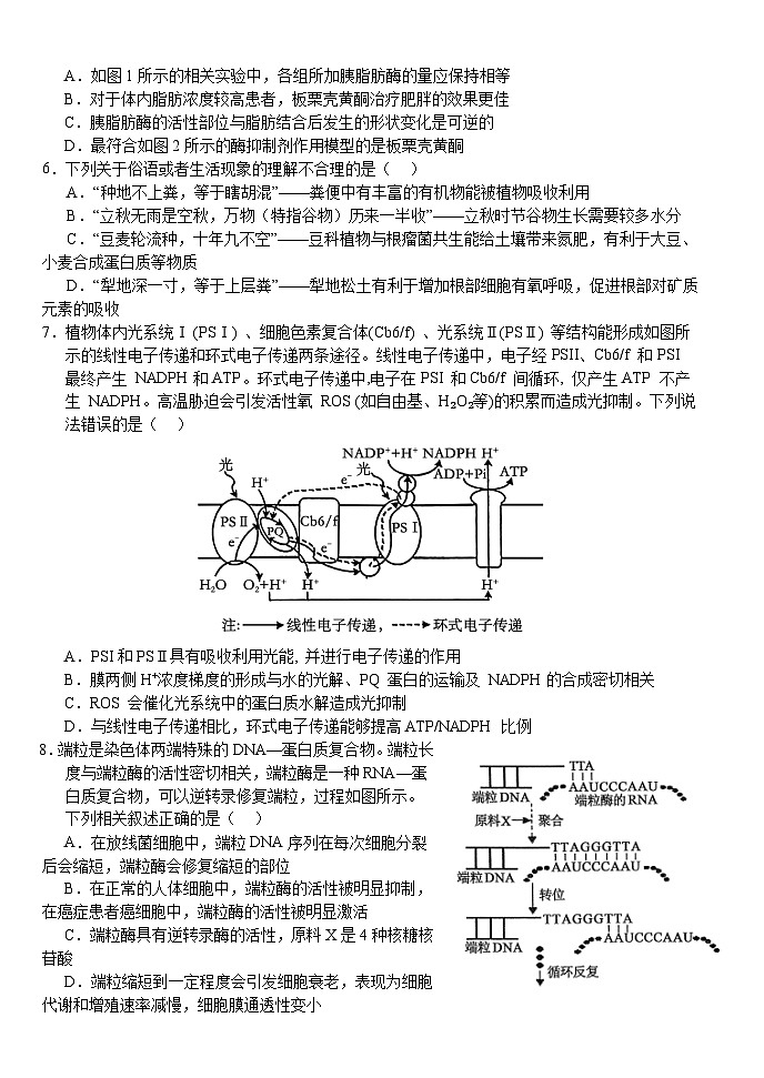 湖北省荆州市沙市区湖北省沙市中学2024-2025学年高三上学期11月月考生物试题02