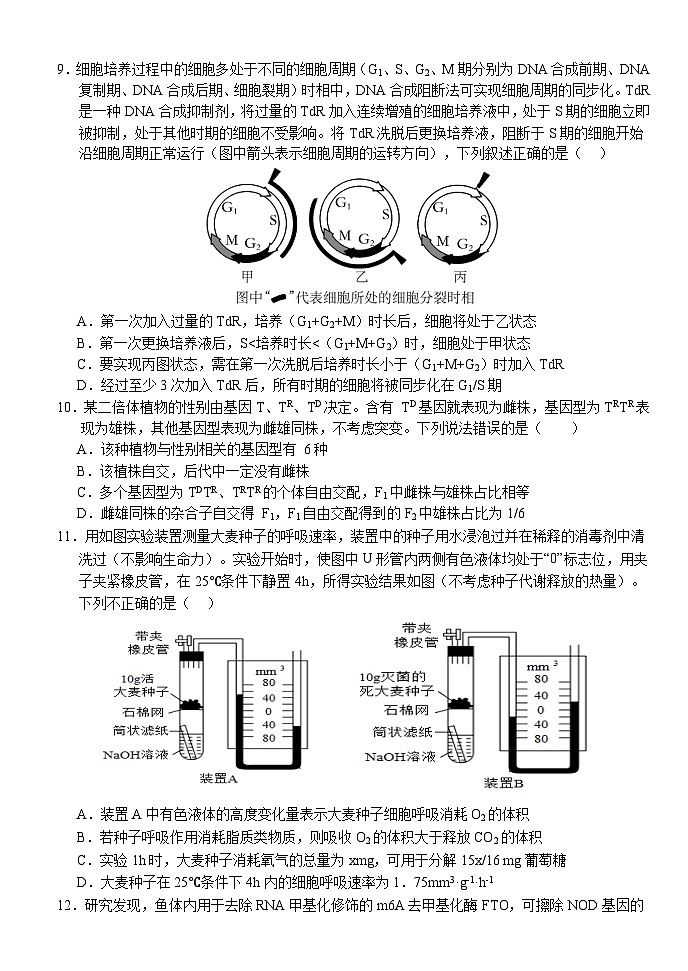 湖北省荆州市沙市区湖北省沙市中学2024-2025学年高三上学期11月月考生物试题03