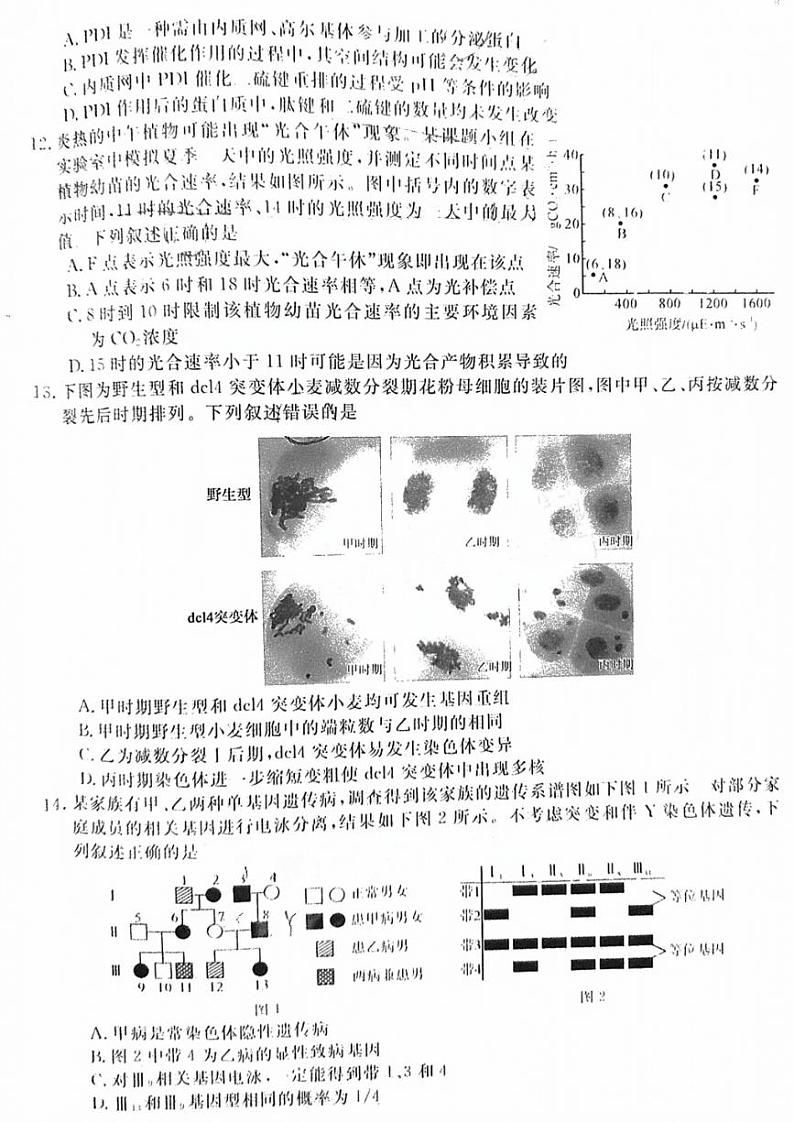2025届福建省金太阳&百校联考高三上学期11月考-生物试卷+答案第3页