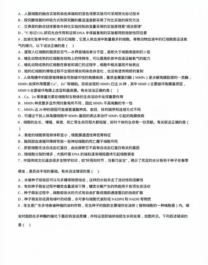 2025届广东省佛山市顺德区高三上学期11月考-生物试卷+答案02