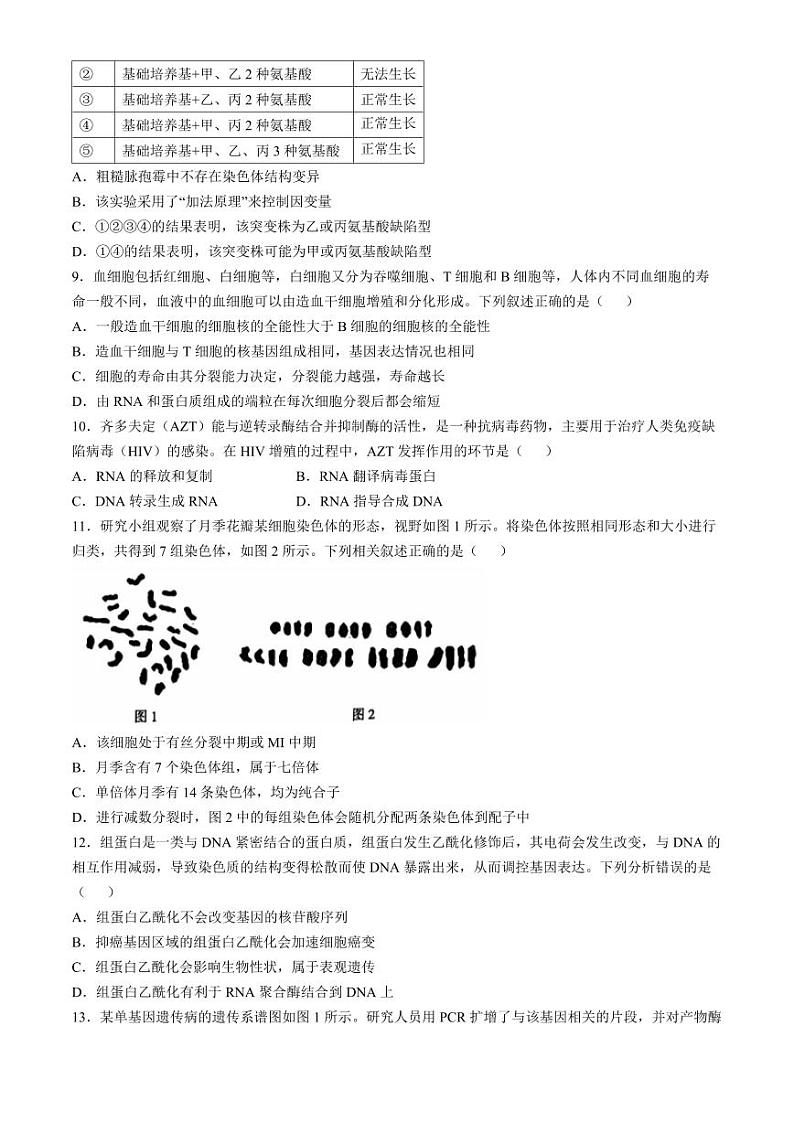 2025届河北省沧衡名校联盟高三上学期11月期中考-生物试题+答案第3页