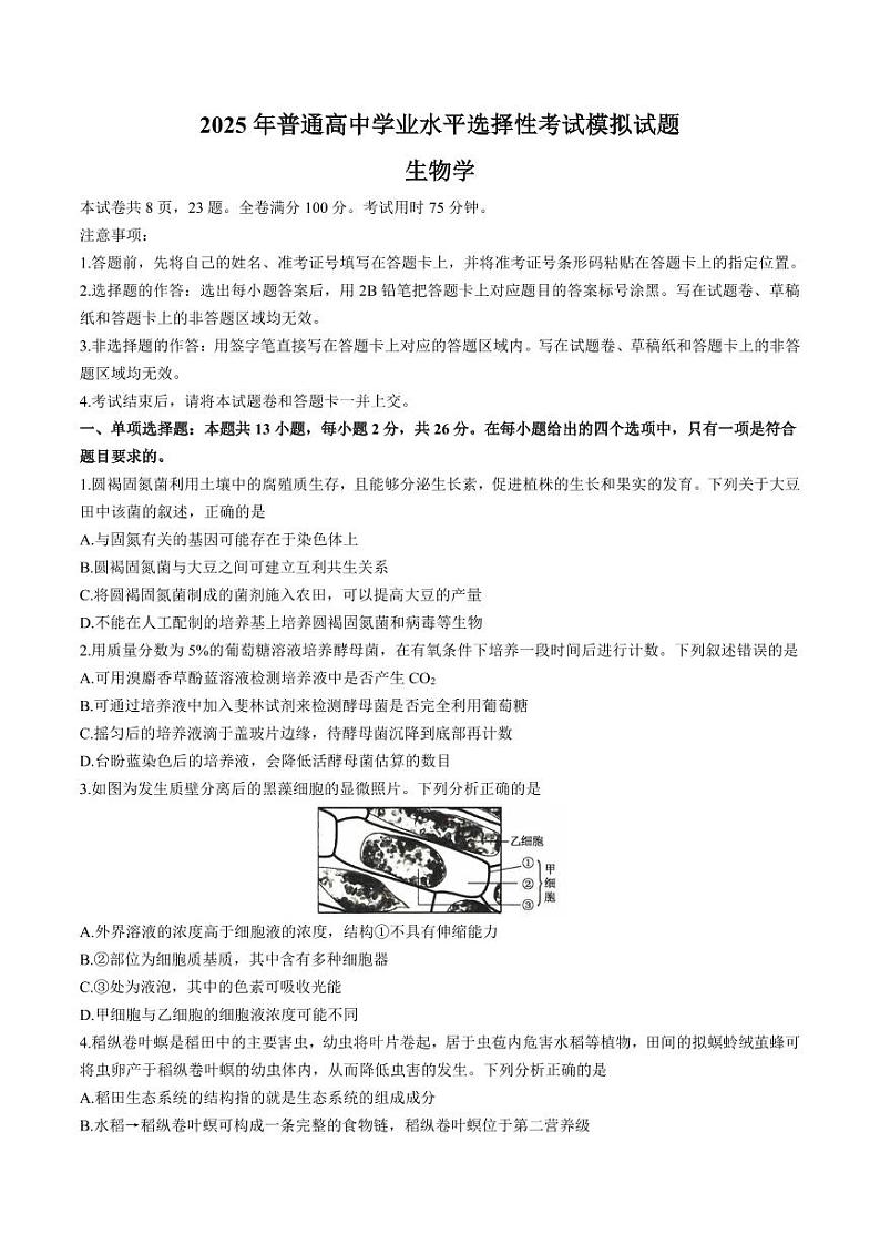 2025届河北省沧州市运东五校高三上学期11月期中考-生物试题+答案第1页