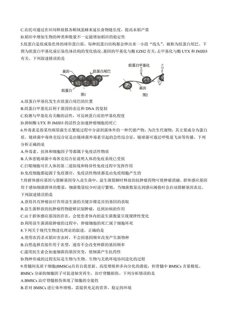 2025届河北省沧州市运东五校高三上学期11月期中考-生物试题+答案第2页