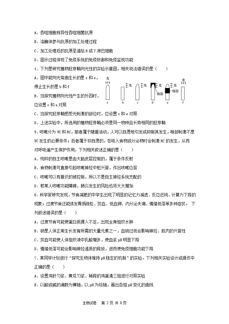 湖北省咸宁市崇阳县第二高级中学2024-2025学年高二上学期11月期中生物试题第2页