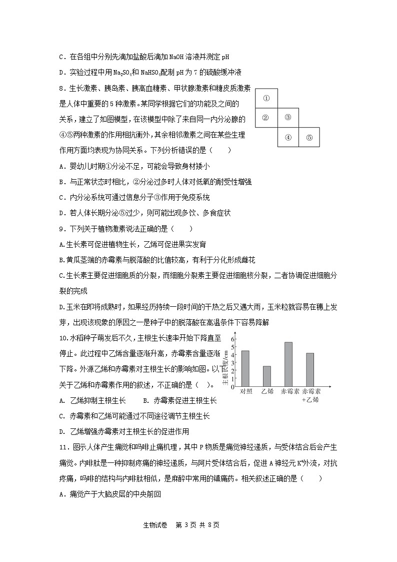 湖北省咸宁市崇阳县第二高级中学2024-2025学年高二上学期11月期中生物试题第3页